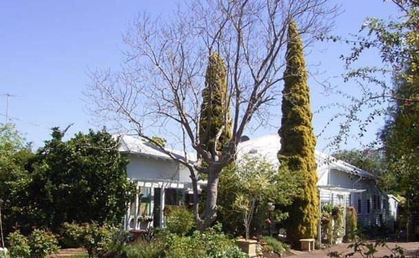 Jacaranda pensión Busselton Exterior foto